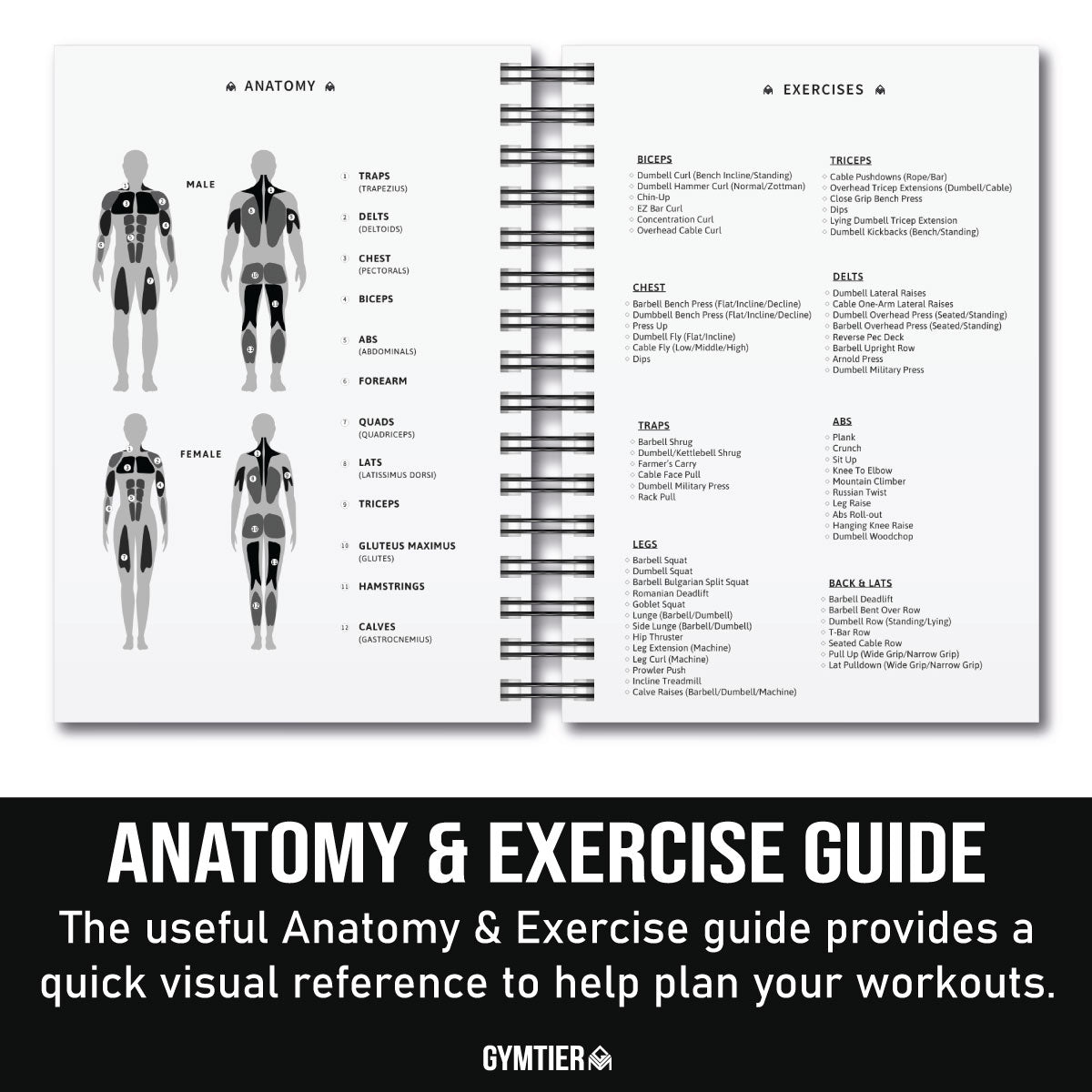 Gymtier Training Journal