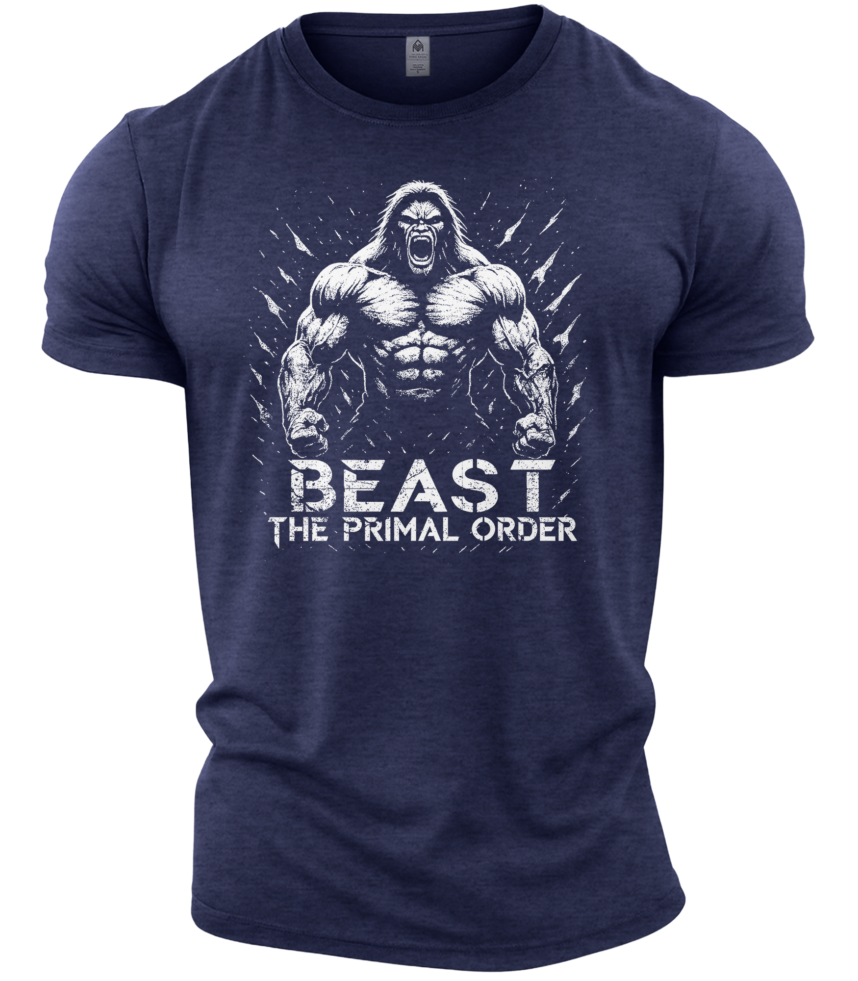 GYMTIER-TPOBEASTWARRIOR-GD001 - HNAV